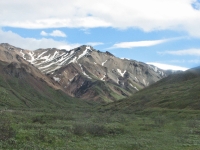 Denali